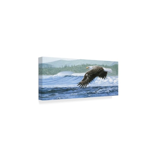 Ron Parker 'Wind On The Waves' Canvas Art,14x32